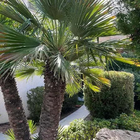 Spacieux Studio Vue Panoramique דירה