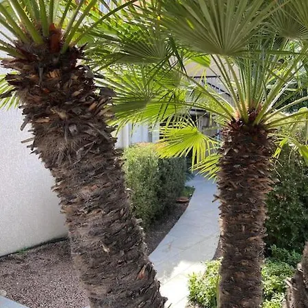 Spacieux Studio Vue Panoramique דירה פרופריאנו